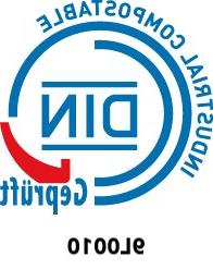 DIN logo